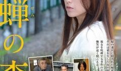 空蝉之森手机在线观看,穿越时空的奇幻之旅，手机在线观看带你领略神秘森林