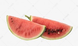 吃瓜素材视频大全下载免费,免费下载，一网打尽！